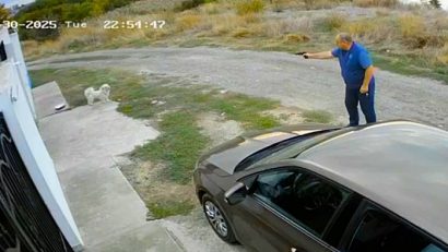 CONSTANȚA: Bărbatul care a tras cu pistolul într-un cățel, amendat cu 7.000 de lei
