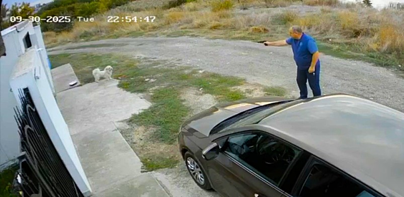 CONSTANȚA: Bărbatul care a tras cu pistolul într-un cățel, amendat cu 7.000 de lei