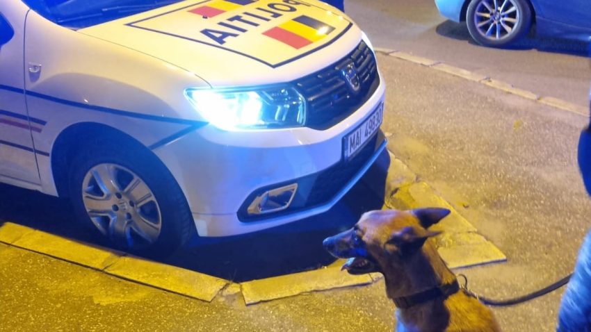 VIDEO | Razie de amploare a polițiștilor în județul Constanța