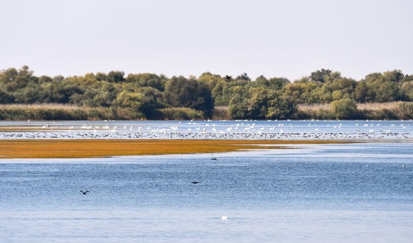 TULCEA: Limitarea folosirii setcilor, prelungită din cauza cotelor scăzute ale Dunării