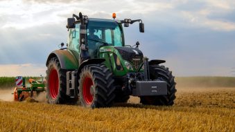 TULCEA: Aproape 179 de hectare din Delta Dunării ar putea deveni teren agricol