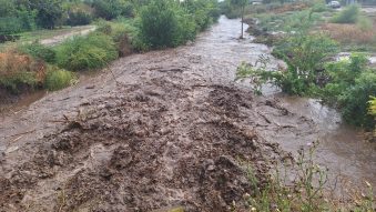 INHGA: Risc de viituri rapide și inundații locale pe râurile din Dobrogea