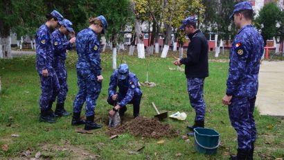 Ziua Dobrogei, sărbătorită de Școala Militară de Maiștri Militari a Forțelor Navale. Elevii și instructorii militari au plantat pomi fructiferi