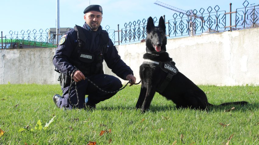 Danko, câinele de la Jandarmeria TULCEA, a absolvit cursul de Patrulare–Intervenție