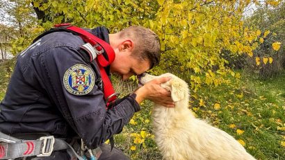 FOTO/VIDEO: Pompierii tulceni au salvat o cățelușă care căzuse într-o fântănă dezafectată, adâncă de aproximativ 15 metri
