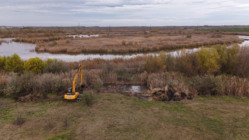 TULCEA: Continuă lucrările de destufizare la lacul Zaghen