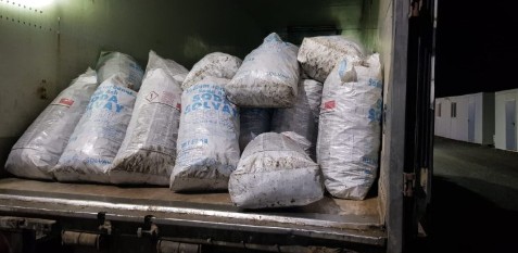 Aproape 800 kg de rapane recoltate ilegal din Marea Neagră, confiscate în vama Negru Vodă