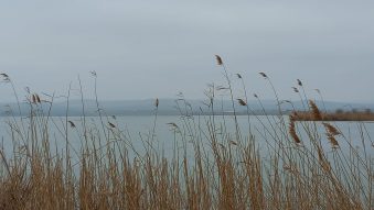 Temperaturi ridicate și ceață, duminică, în Dobrogea. De luni, ploi și vreme rece