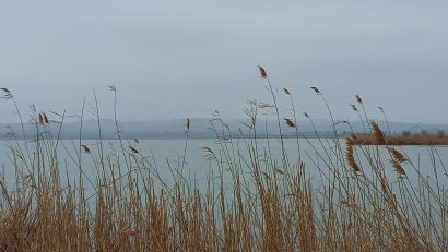 Temperaturi ridicate, ceață și ploi slabe, în Dobrogea și pe litoral