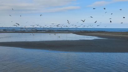 Vreme predominant frumoasă, cu temperaturi în creștere, în Dobrogea și pe litoral