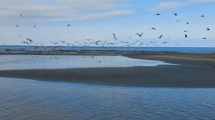 Vreme predominant frumoasă, cu temperaturi în creștere, în Dobrogea și pe litoral