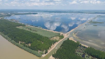 AUDIO | TULCEA: Apel pentru salvarea zonei renaturate Carasuhat de la dezastrul ecologic și social
