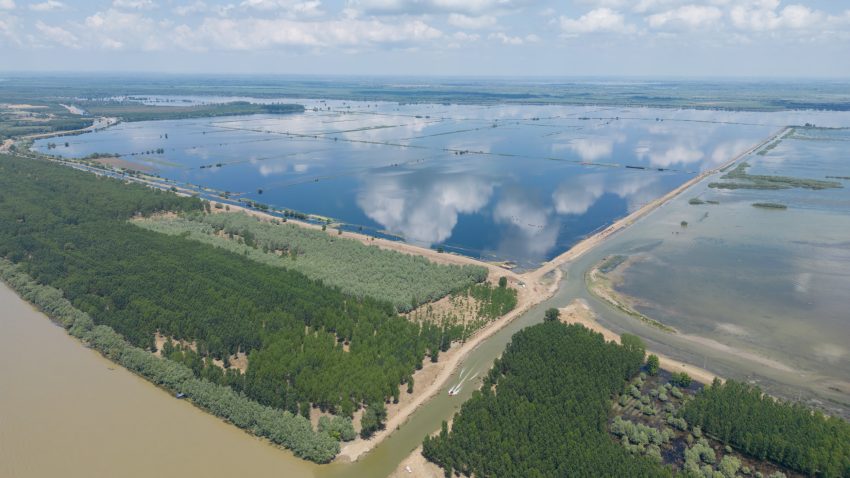 AUDIO | TULCEA: Apel pentru salvarea zonei renaturate Carasuhat de la dezastrul ecologic și social