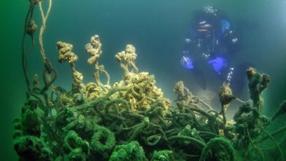 ONG Mare Nostrum: Peste 9 tone de unelte de pescuit au fost eliminate din Marea Neagră prin proiectul BlackNETs