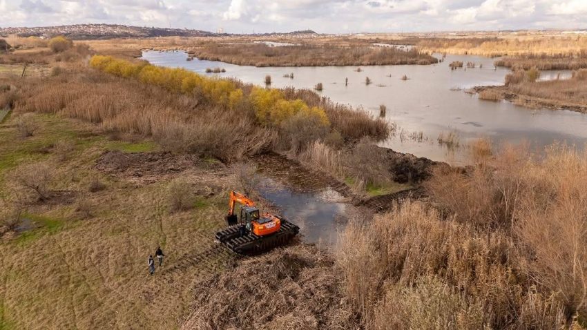 TULCEA: Intervenție pilot de gestionare a stufului în zona Zaghen