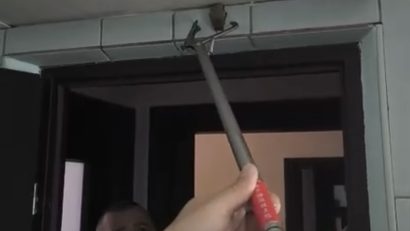 CONSTANȚA: Jandarmii au salvat un liliac aflat într-un imobil