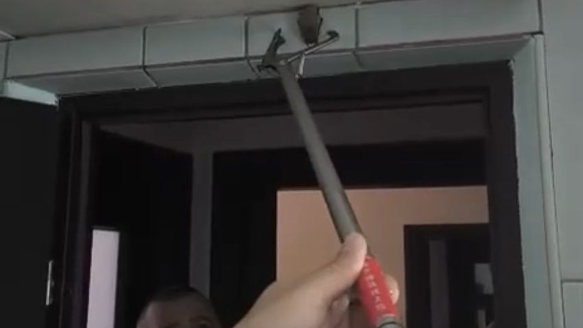 CONSTANȚA: Jandarmii au salvat un liliac aflat într-un imobil