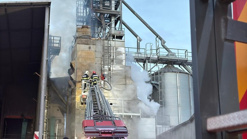 Județul TULCEA: Aproximativ 15 tone de floarea-soarelui au fost distruse în urma incendiului care a cuprins un uscător de cereale