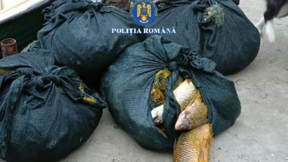 TULCEA: Aproape o jumătate de tonă de pește, o ambarcațiune și unelte de pescuit, confiscate de la braconierii din Deltă
