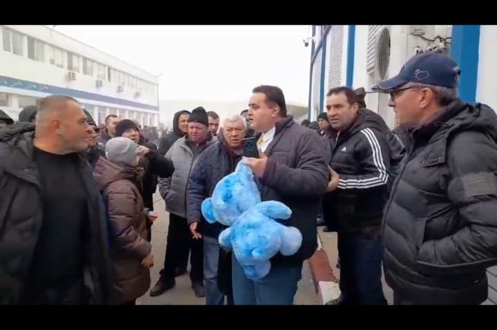 Ursulețul albastru a ajuns la Corala Armonia