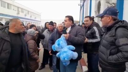 Ursulețul albastru a ajuns la Corala Armonia