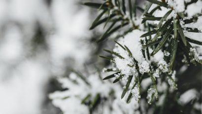 Vreme rece și prima ninsoare, de Crăciun, în Dobrogea