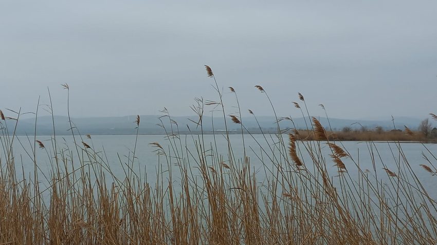 Vreme predominant închisă, în Dobrogea și pe litoral