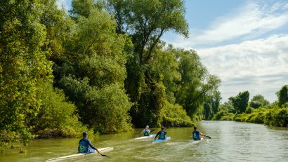 AUDIO | Au început înscrierile pentru cea de-a doua ediție a Maratonului Internațional de Canoe Ivan Patzaichin