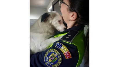 Județul CONSTANȚA: Proprietarii de animale, verificați de polițiștii de la Protecția Animalelor