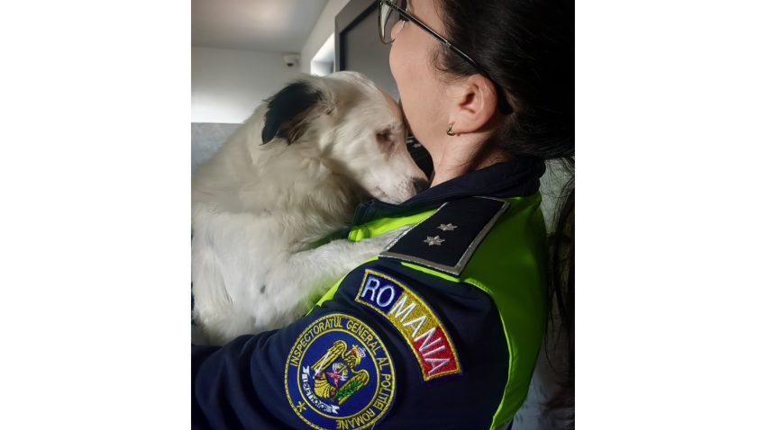 Județul CONSTANȚA: Proprietarii de animale, verificați de polițiștii de la Protecția Animalelor