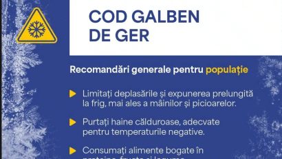 COD GALBEN de GER în Dobrogea și pe litoral