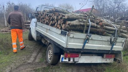 TULCEA: Bărbat din Măcin depistat de polițiști cu lemne de foc fără documente de proveniență