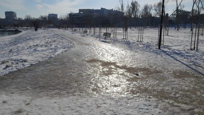În ciuda temperaturilor negative, unii constănțeni au ales să facă o plimbare în parcul Tăbăcărie