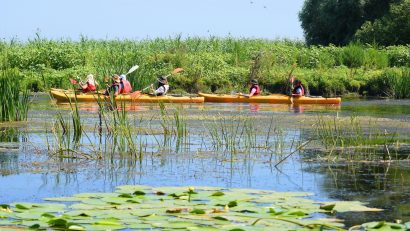 Turism în Delta Dunării și județul Tulcea: bilanțul unui an complicat