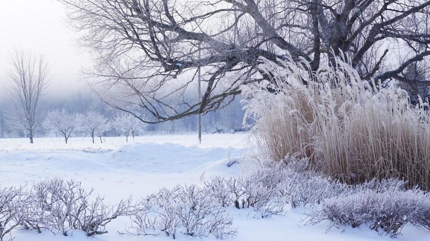 Vreme geroasă în aproape toată țara. Minima termică în Dobrogea: -12 grade