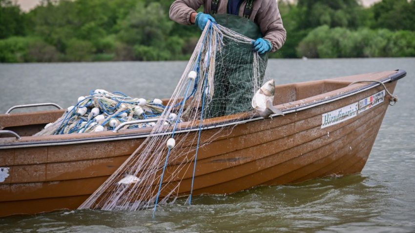 TULCEA: Bani europeni pentru puncte de debarcare și adăposturi pescărești