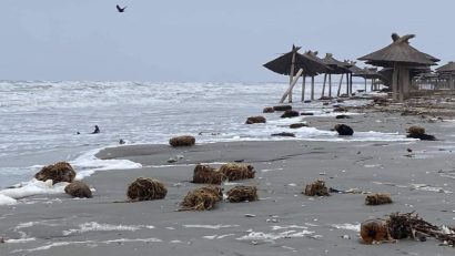 Temperaturi de primăvară și ploi, în Dobrogea și pe litoral