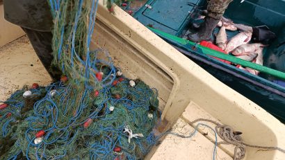 TULCEA: Braconaj piscicol în Deltă. Zeci de kilograme de raci și pești, redați mediului natural