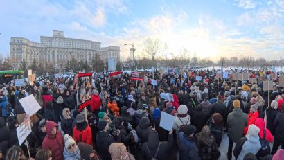 „15.000 au murit fără voce”: Protest împotriva eutanasierii câinilor din adăposturi, organizat de asociațiile pentru protecția animalelor