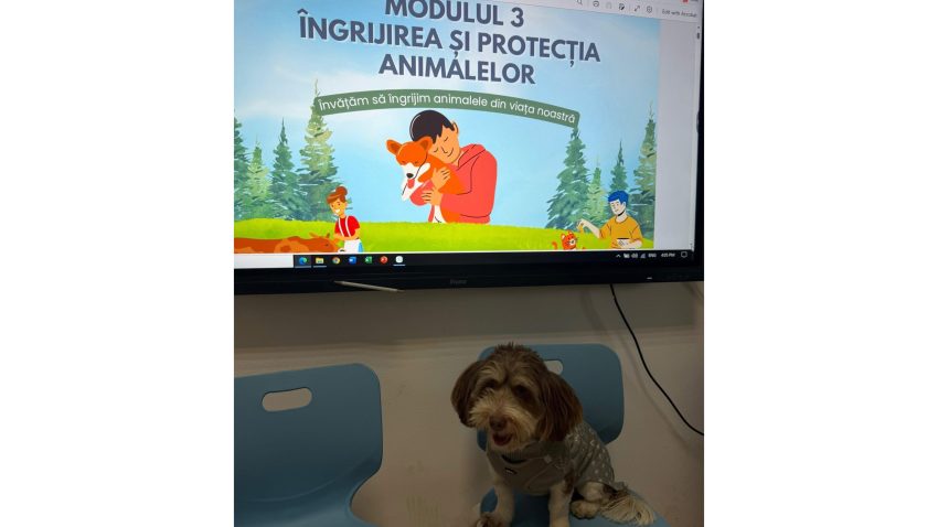 Cursul opțional „Ora cu și pentru animale”, aprobat la nivel național