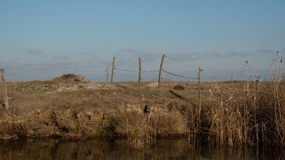 AUDIO | Gardurile electrice din Delta Dunării. Guvernatorul ARBDD, Bogdan Bulete: “Din ce știu eu, nu am dat niciun aviz pentru gard electric. Dacă vine cineva și cere acest lucru, va fi tratat ca și o construcție temporară”