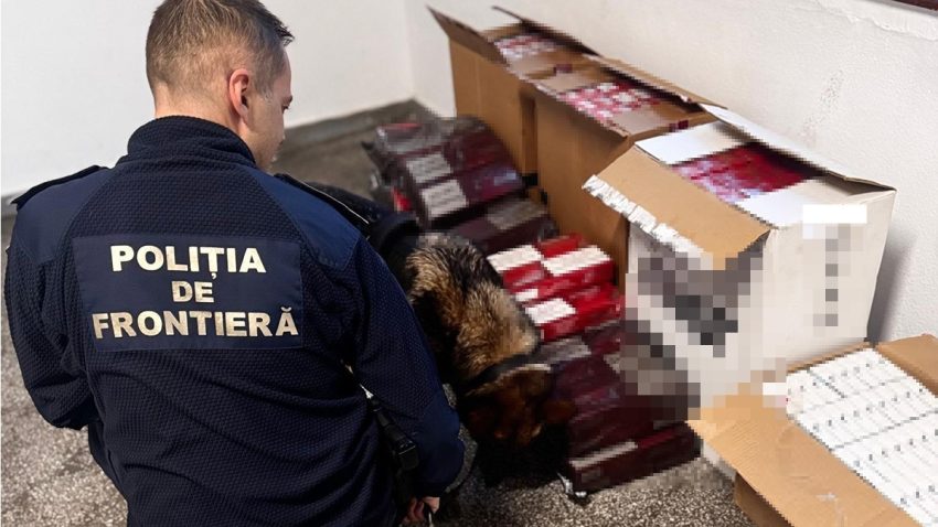 Țigări de contrabandă, descoperite la bordul unei nave străine acostate în Portul Constanța