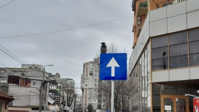 CONSTANȚA: Un nou sens unic a fost instituit pe o stradă din oraș