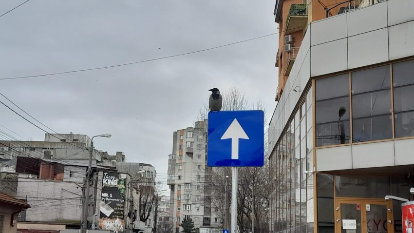 CONSTANȚA: Un nou sens unic a fost instituit pe o stradă din oraș