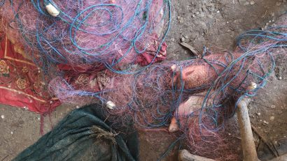 TULCEA: Peste 140 de păsări sălbatice moarte și aproape 600 de kilograme de pește, descoperite la braconieri din Iazurile