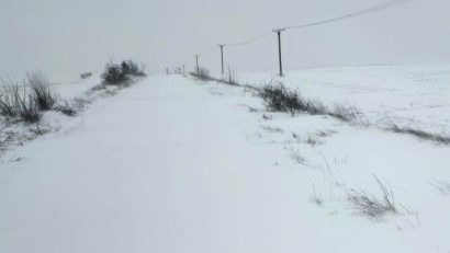 Circulație cu antemergător pe DJ 391, între Mangalia și Negru Vodă