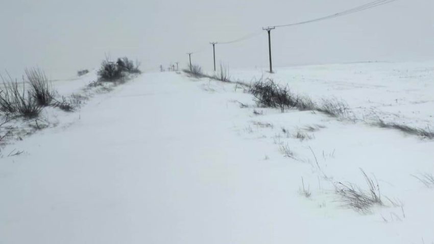 Circulație cu antemergător pe DJ 391, între Mangalia și Negru Vodă