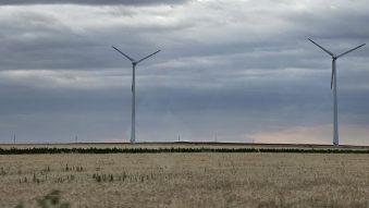Ploi și vreme în răcire anunță meterologii în Dobrogea