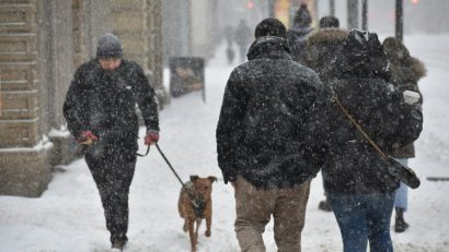 Informare meteorologică de ninsori, polei, vânt puternic și răcire accentuată, până marți seara