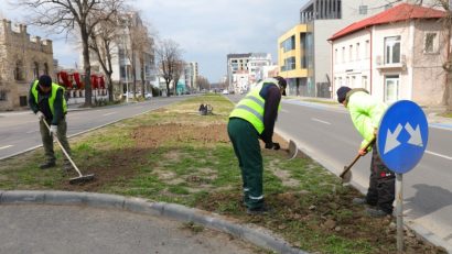CONSTANȚA: Începe campania de plantare de primăvară în municipiu